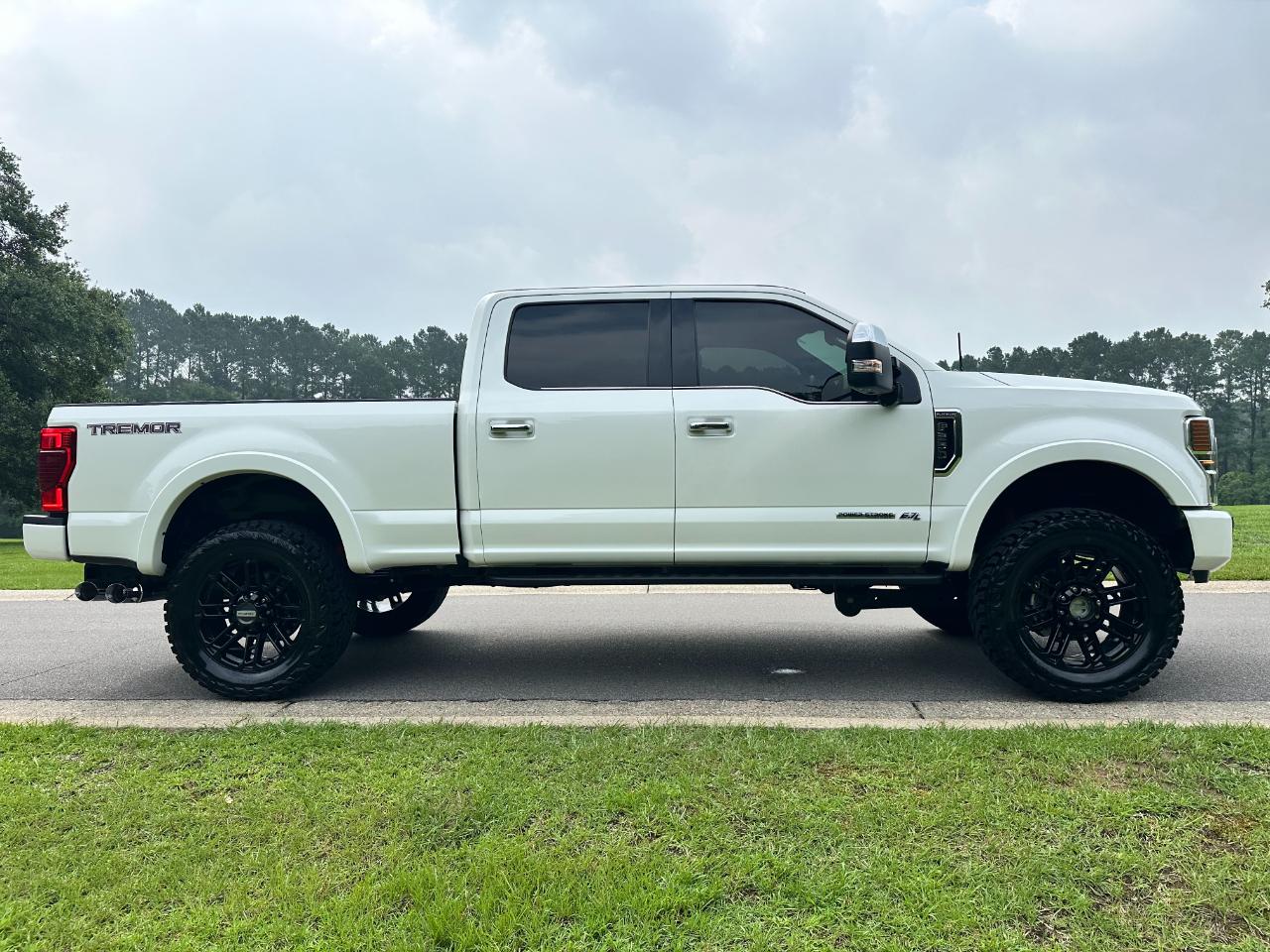 Ford Super Duty F-250 SRW Platinum 4WD Crew Cab 6.75' Box 2022