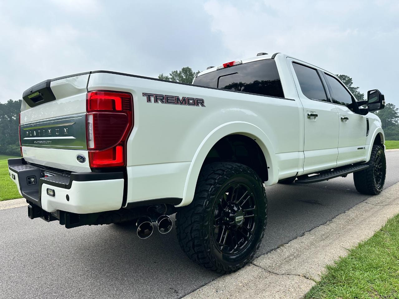 Ford Super Duty F-250 SRW Platinum 4WD Crew Cab 6.75' Box 2022