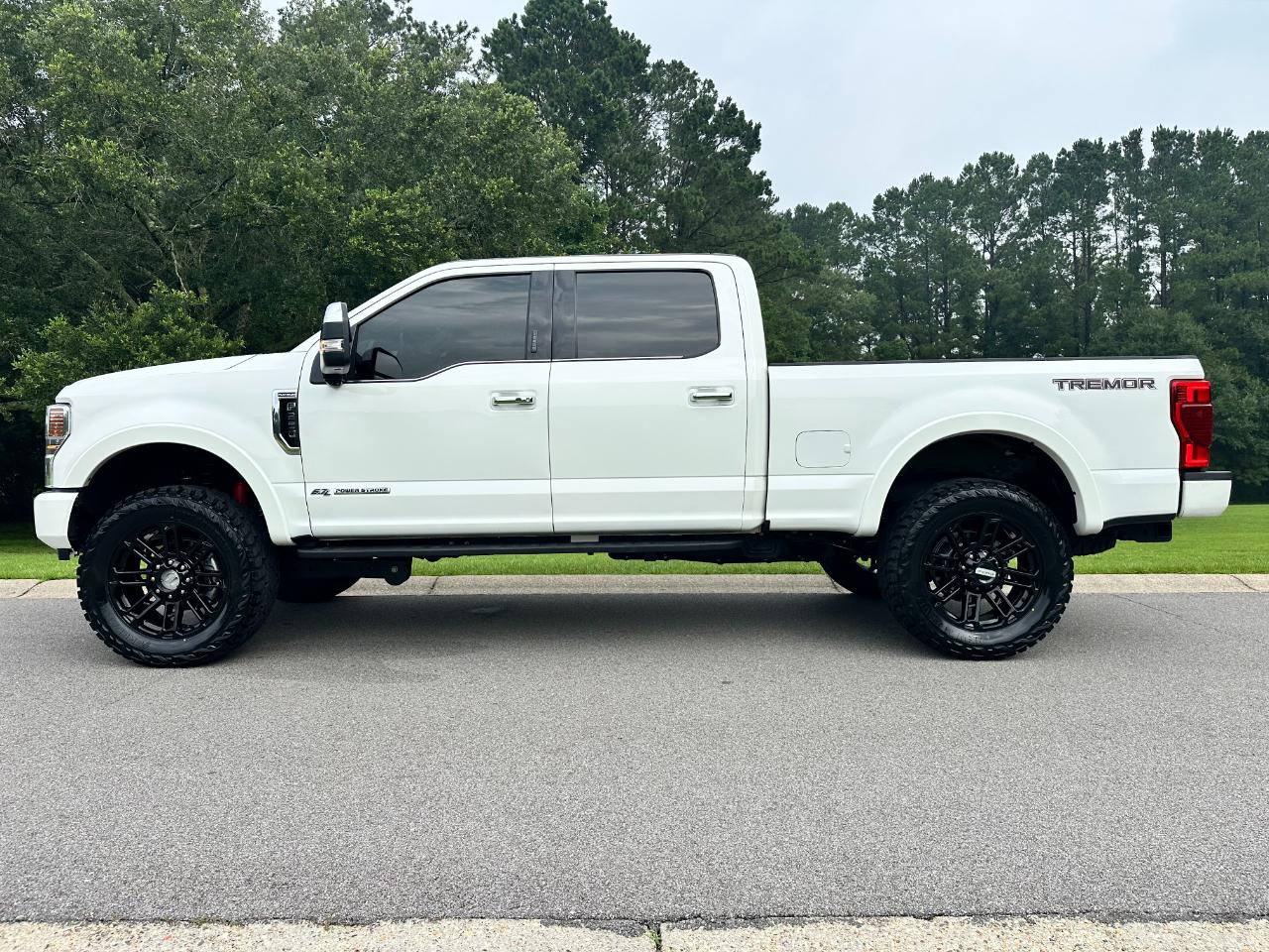 Ford Super Duty F-250 SRW Platinum 4WD Crew Cab 6.75' Box 2022