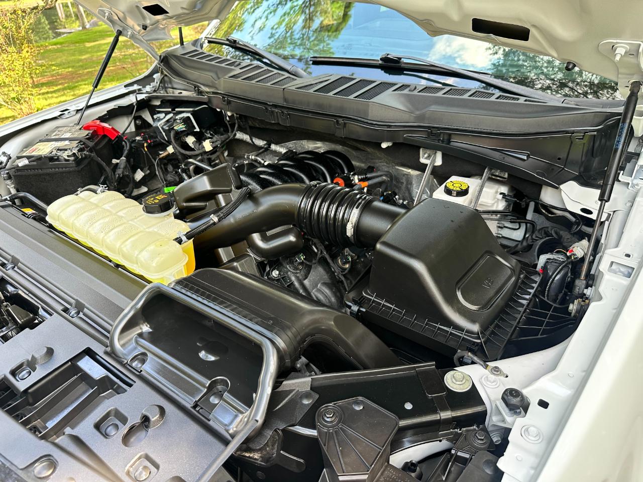 Ford F-150 XLT 4WD SuperCrew 5.5' Box 2025