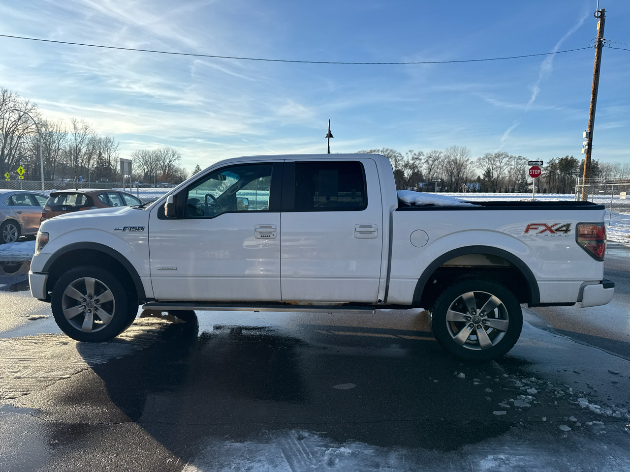 Ford F-150 4WD SuperCrew 145" FX4 2014