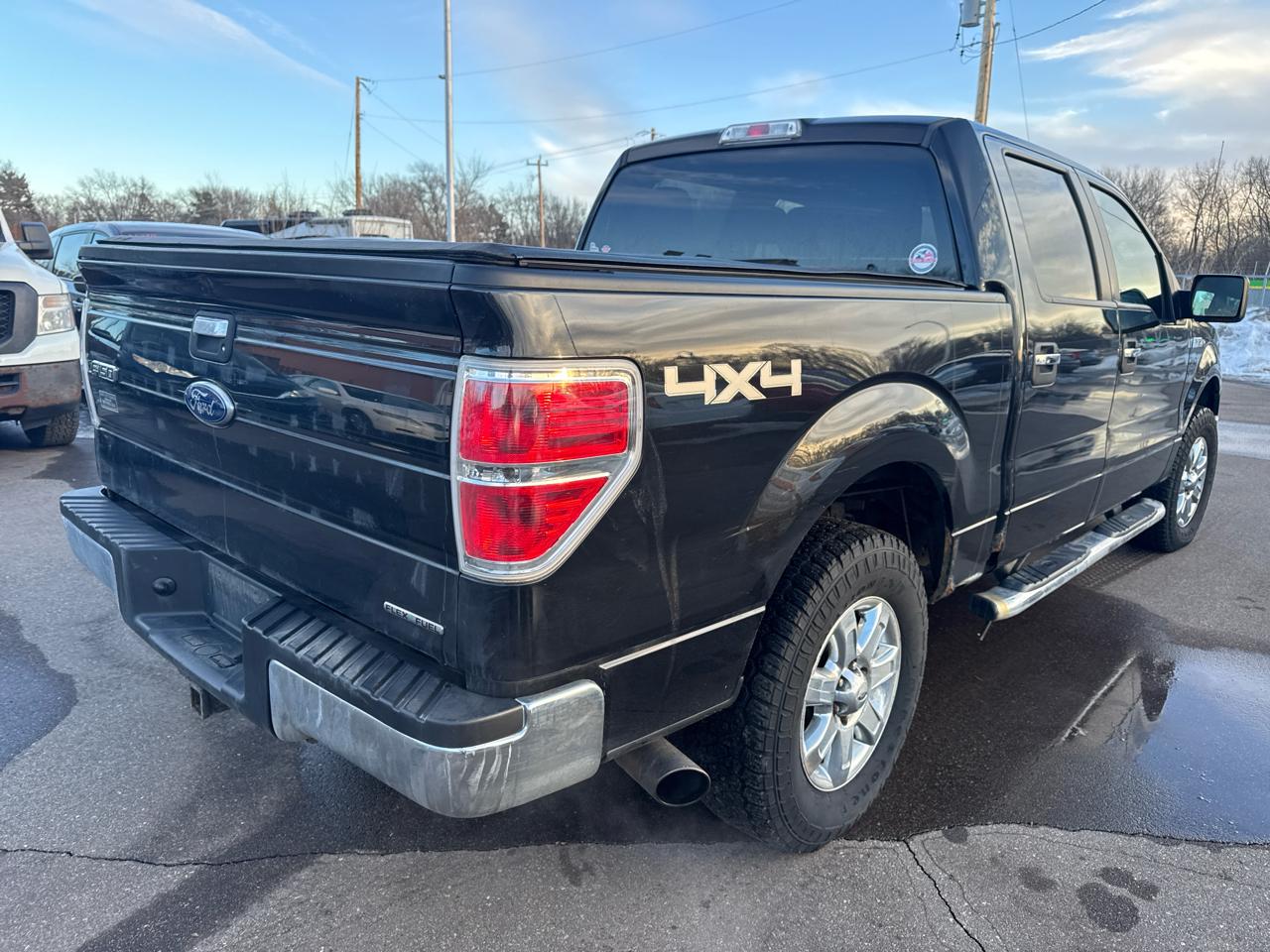 Ford F-150 4WD SuperCrew 145" Platinum 2014