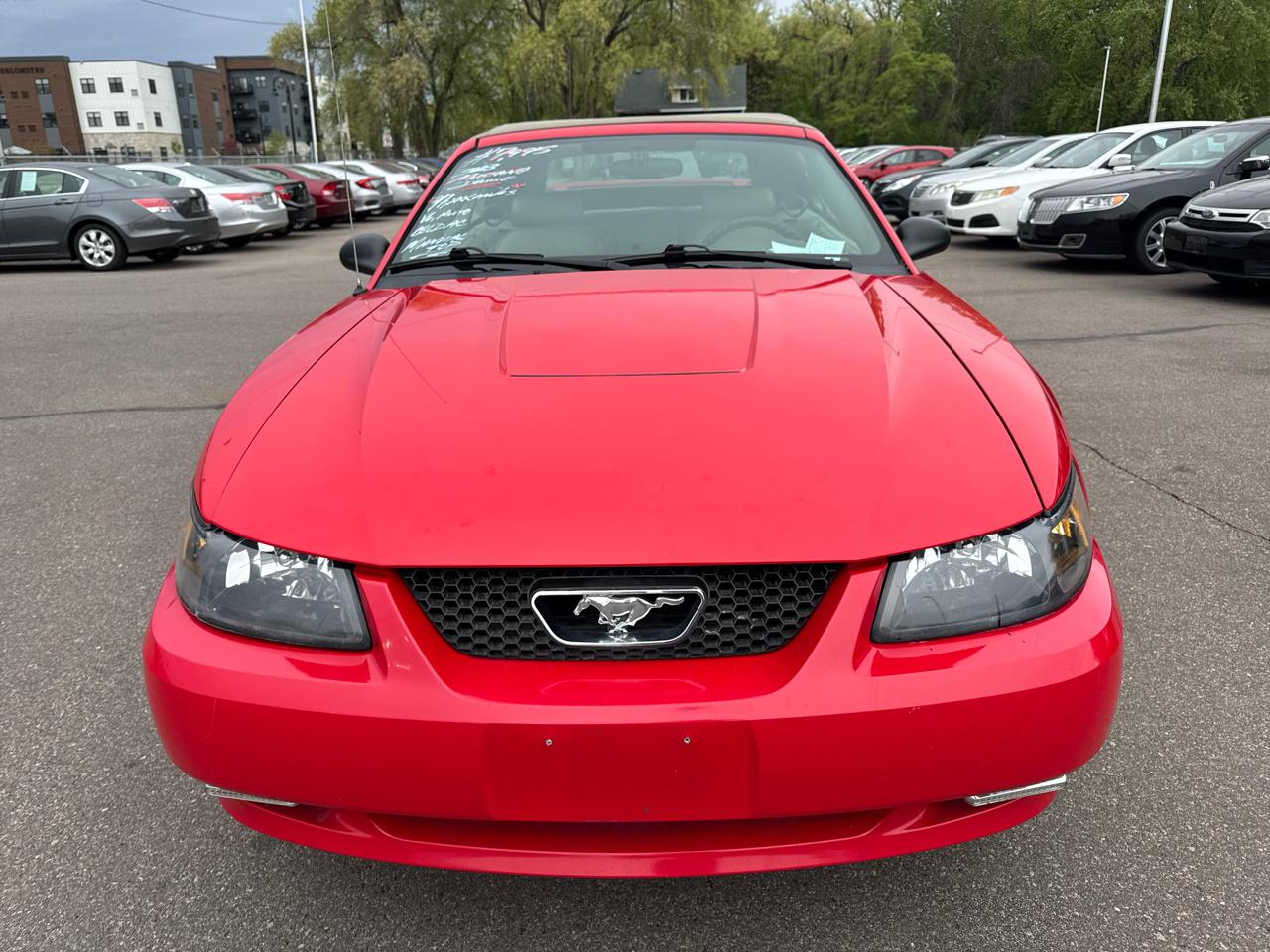 Ford Mustang 2dr Conv Premium 2003
