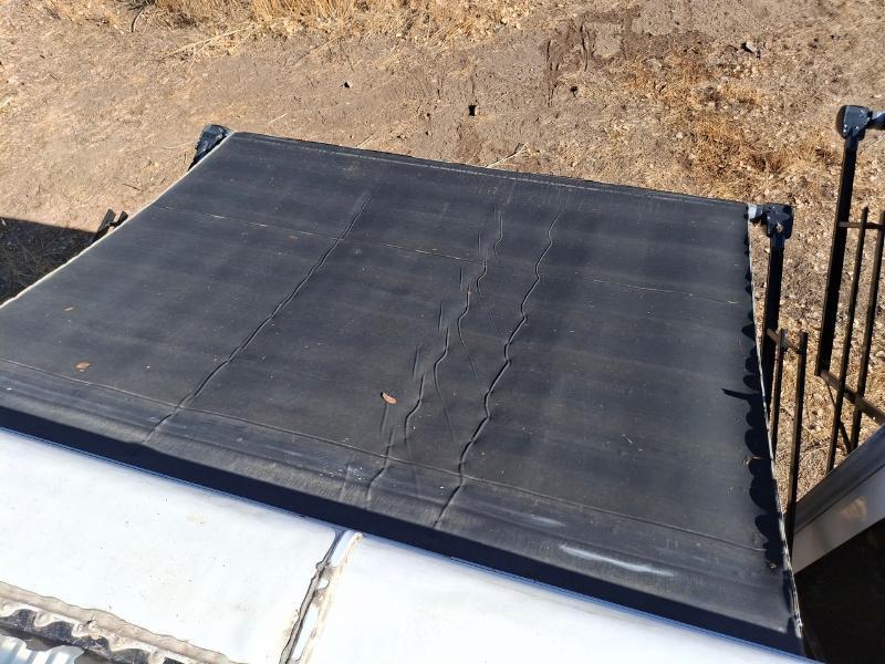 Carriage RV Carri-Lite  2011