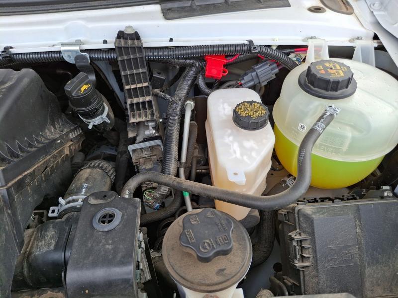 Gulf Stream Conquest  2021