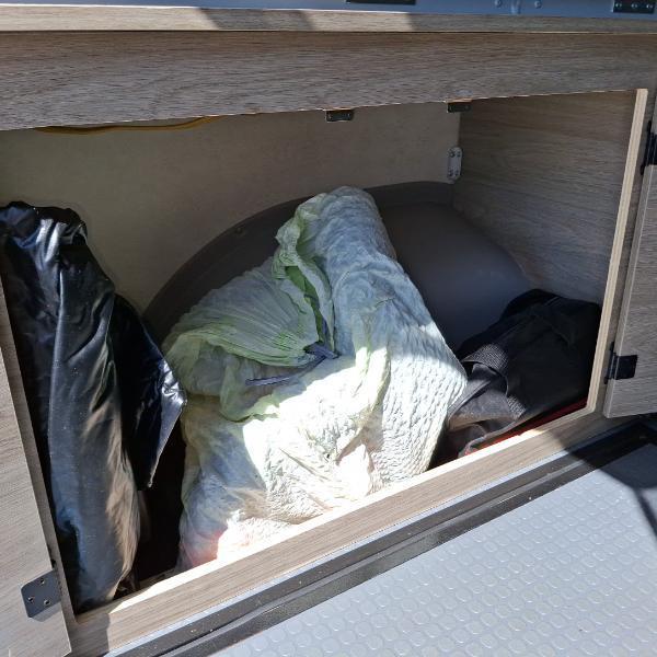 Winnebago Solis 59PX  2021