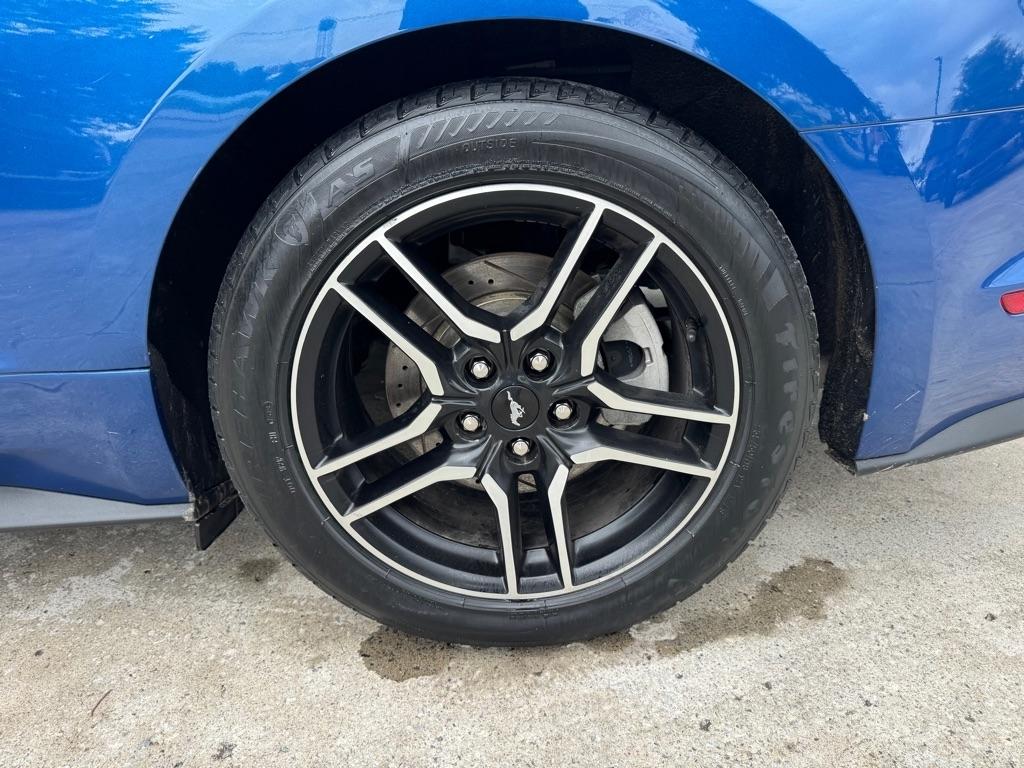 Ford Mustang EcoBoost Coupe 2022