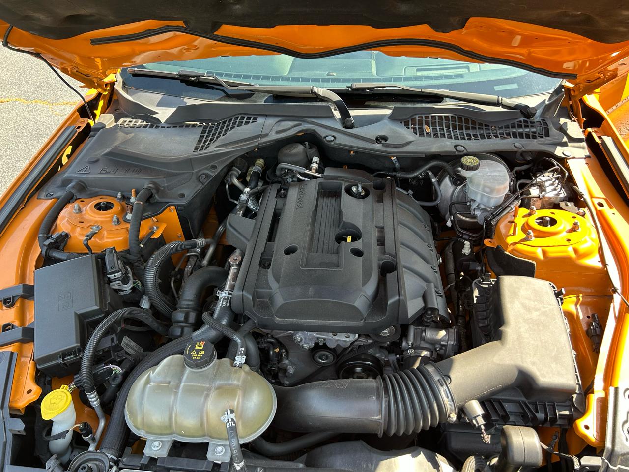 Ford Mustang EcoBoost Coupe 2019