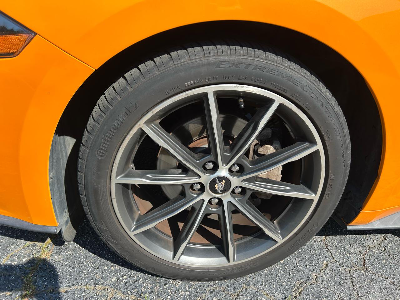 Ford Mustang EcoBoost Coupe 2019