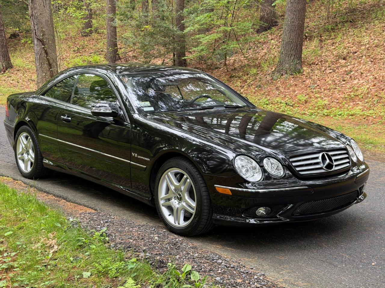 Mercedes-Benz CL-Class CL55 AMG 2004