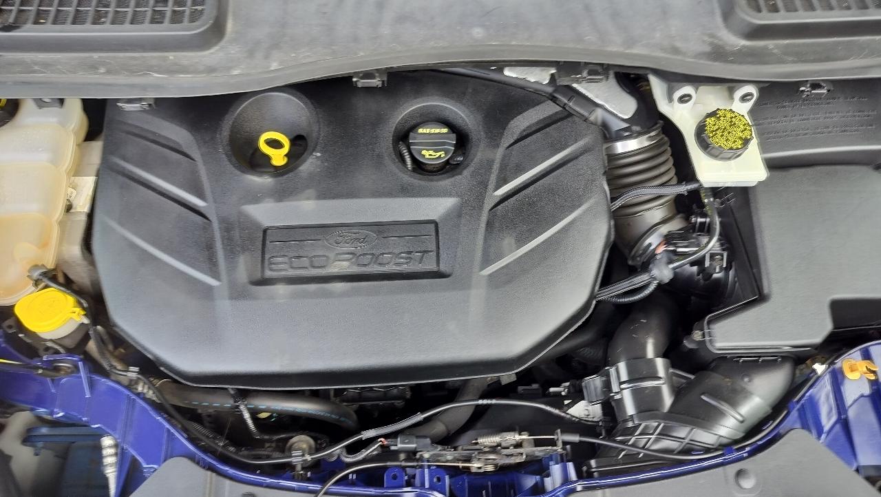 Ford Escape 4WD 4dr SEL 2013