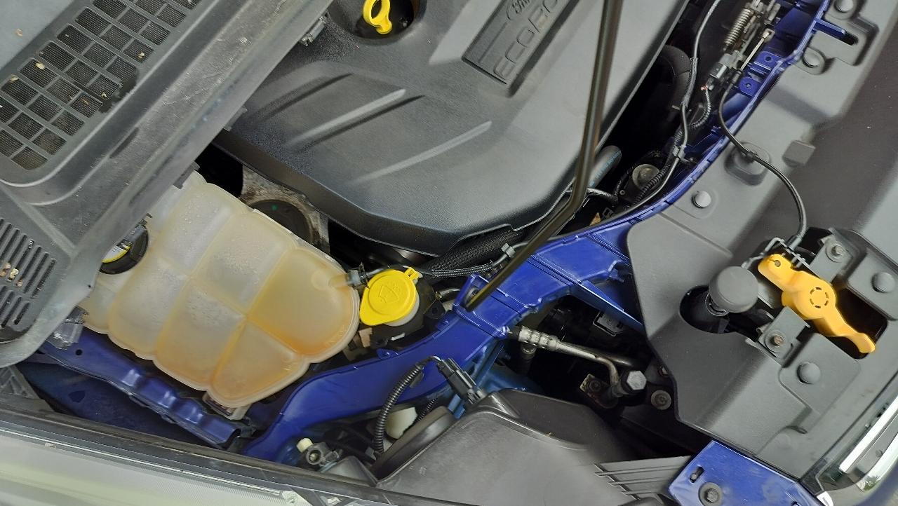 Ford Escape 4WD 4dr SEL 2013