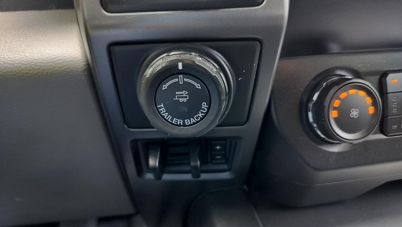 Ford F-150 XLT 4WD SuperCrew 5.5' Box 2020