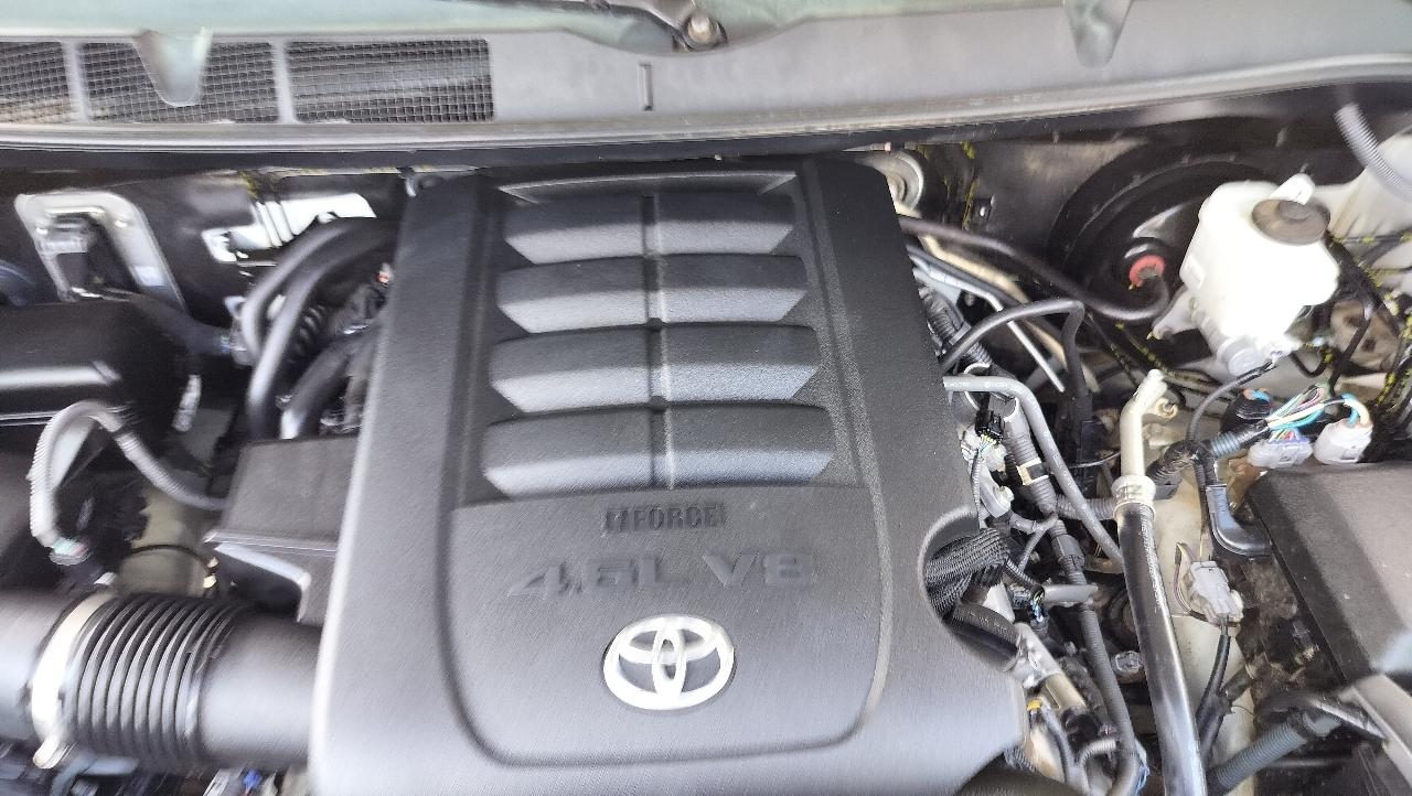 Toyota Tundra 2WD SR Double Cab 6.5' Bed 4.6L (Natl) 2019