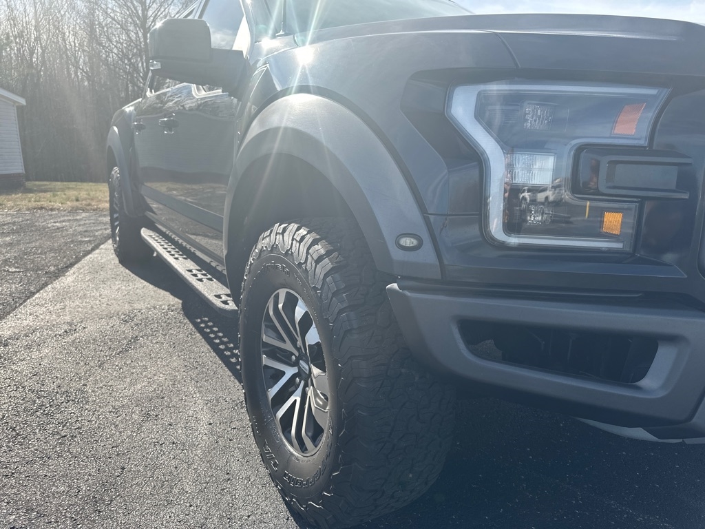 Ford F-150 Raptor 4WD SuperCrew 5.5' Box 2019