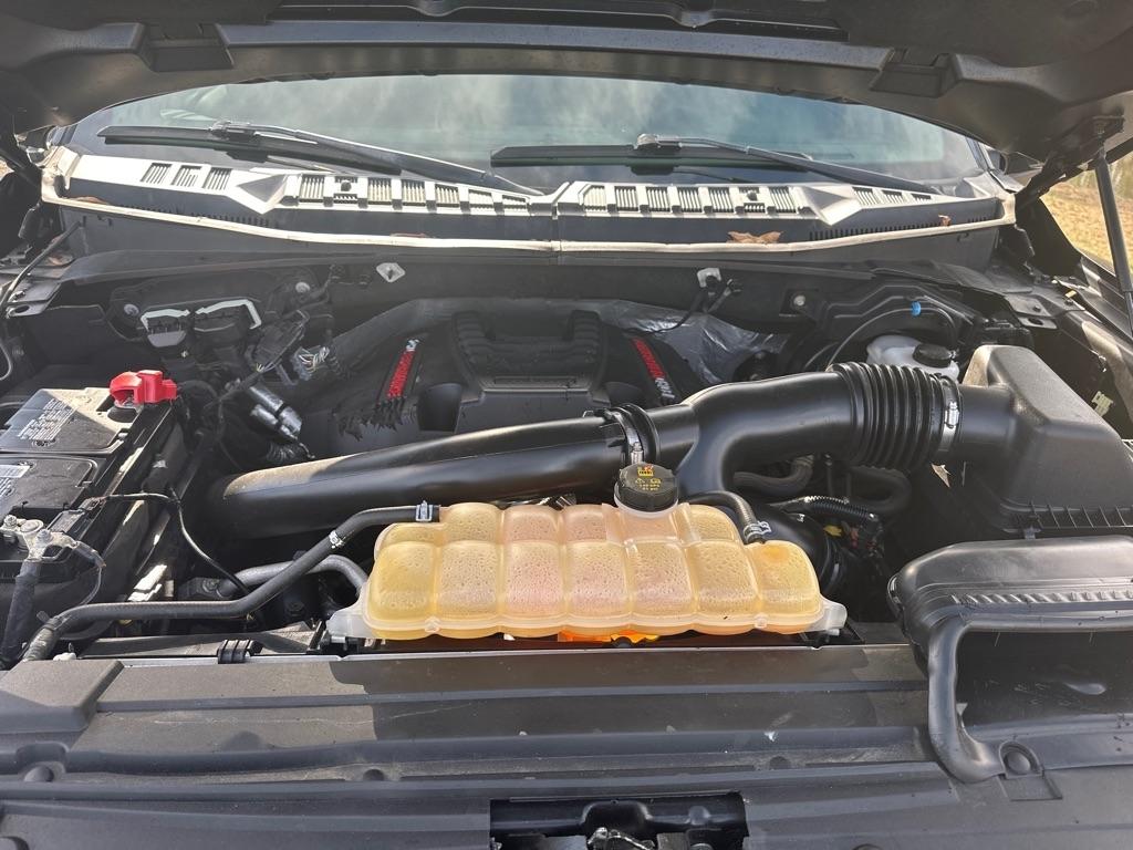 Ford F-150 Raptor 4WD SuperCrew 5.5' Box 2019