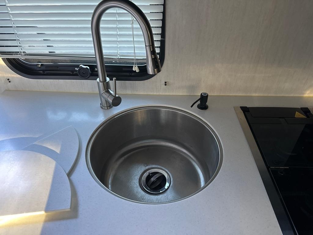 Forest River Wolf Pup  2022