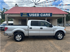 2010 Ford F-150  2010 Ford F-150