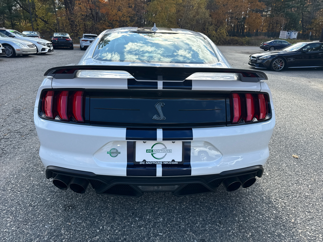 Ford Mustang Shelby GT500 Fastback 2021 Ford Mustang Shelby GT500 Fastback 2021