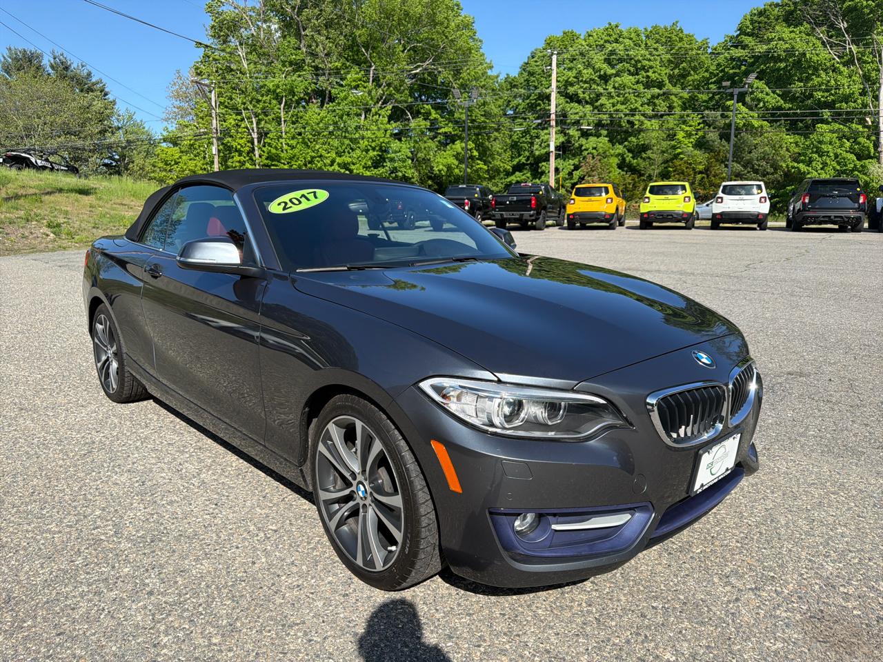BMW 2 Series 230i xDrive Convertible 2017