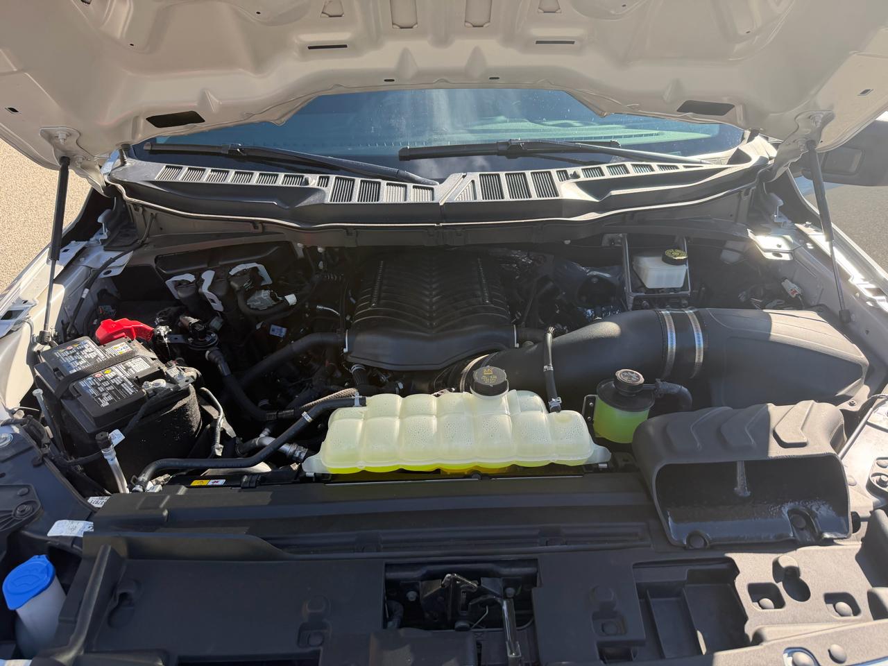 Ford F-150 Reg. Cab Short Bed 2WD 2024
