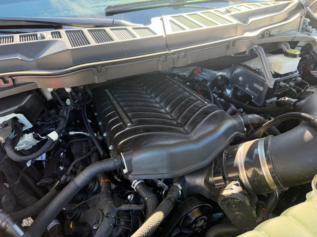 Ford F-150 Reg. Cab Short Bed 2WD 2024