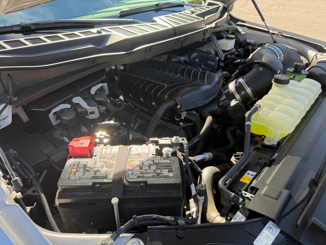 Ford F-150 Reg. Cab Short Bed 2WD 2024