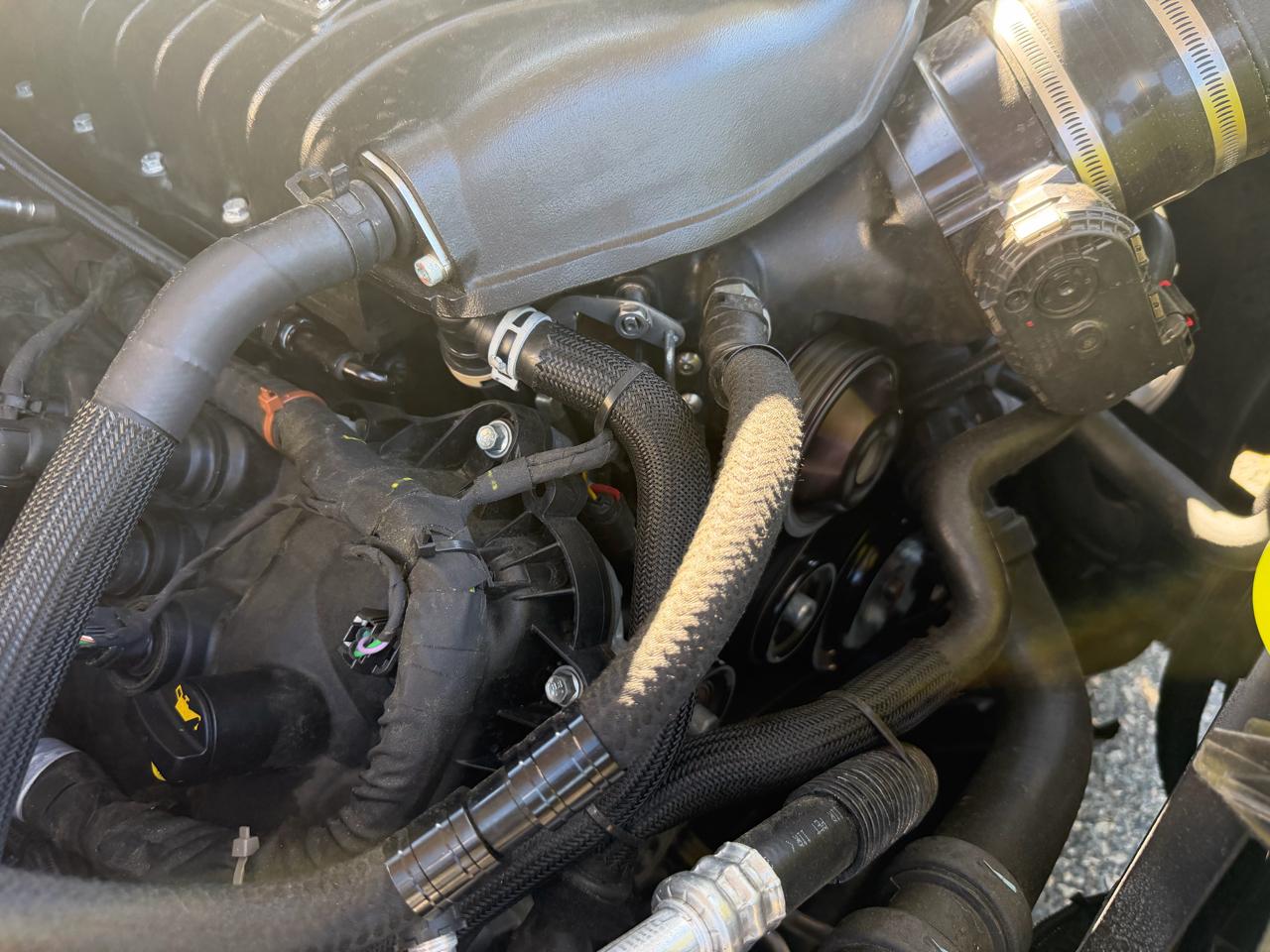 Ford F-150 Reg. Cab Short Bed 2WD 2024