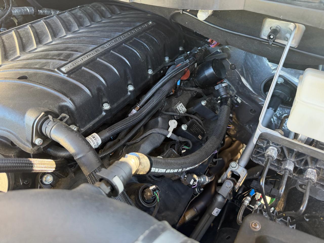 Ford F-150 Reg. Cab Short Bed 2WD 2024
