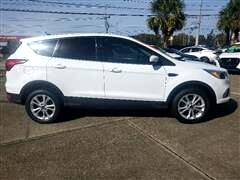 2019 Ford Escape  2019 Ford Escape