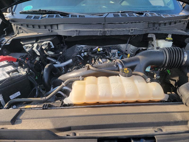 Ford F-150 XL SuperCrew 6.5-ft. Bed 4WD 2022