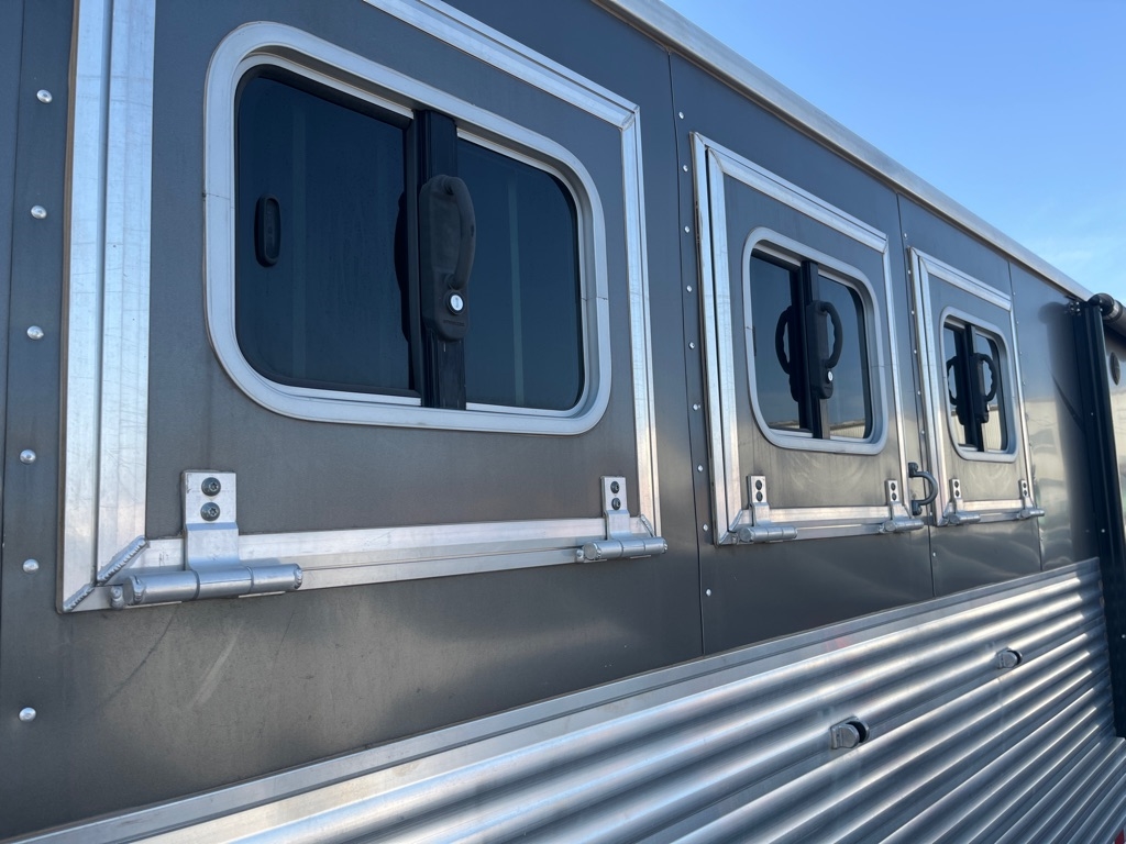 Bison Silverado  2017