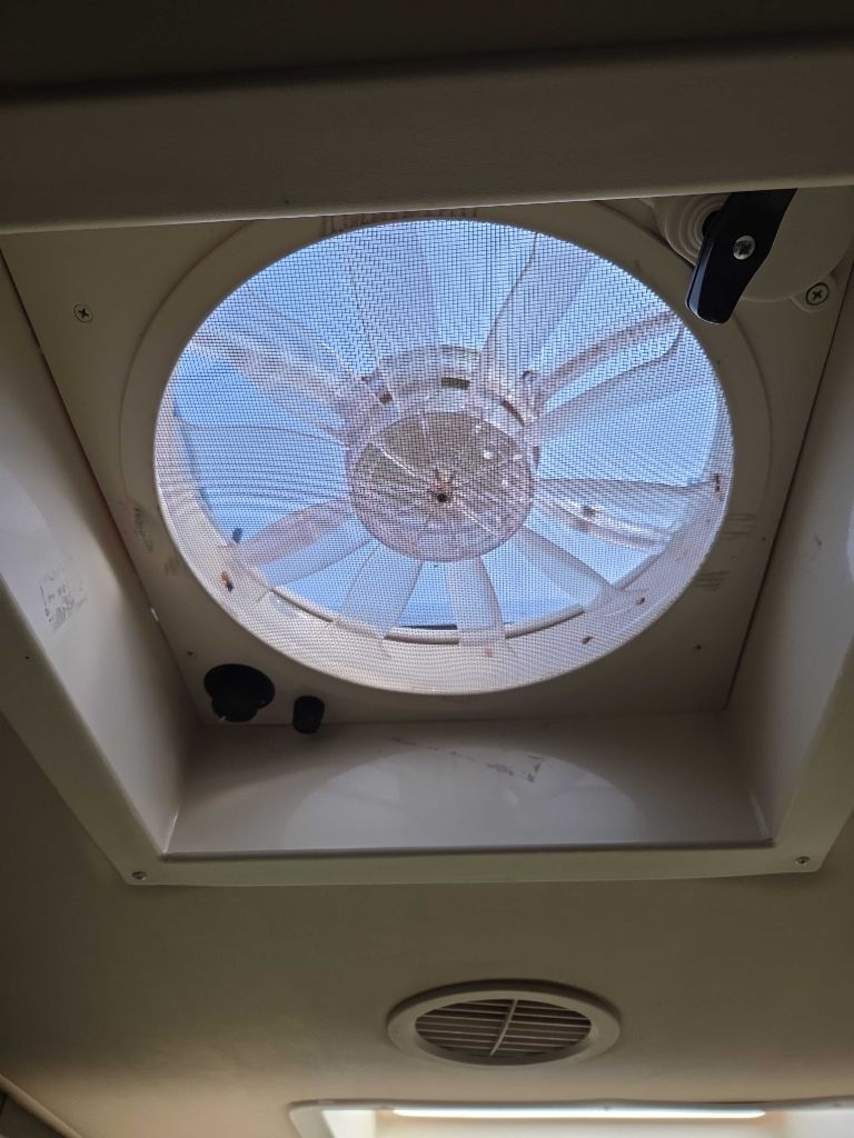 Vanleigh Vilano  2018