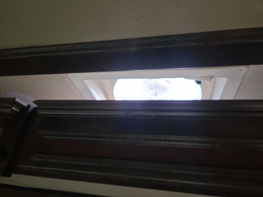 Vanleigh Vilano  2018