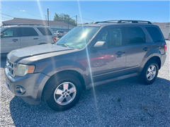 2011 Ford Escape  2011 Ford Escape