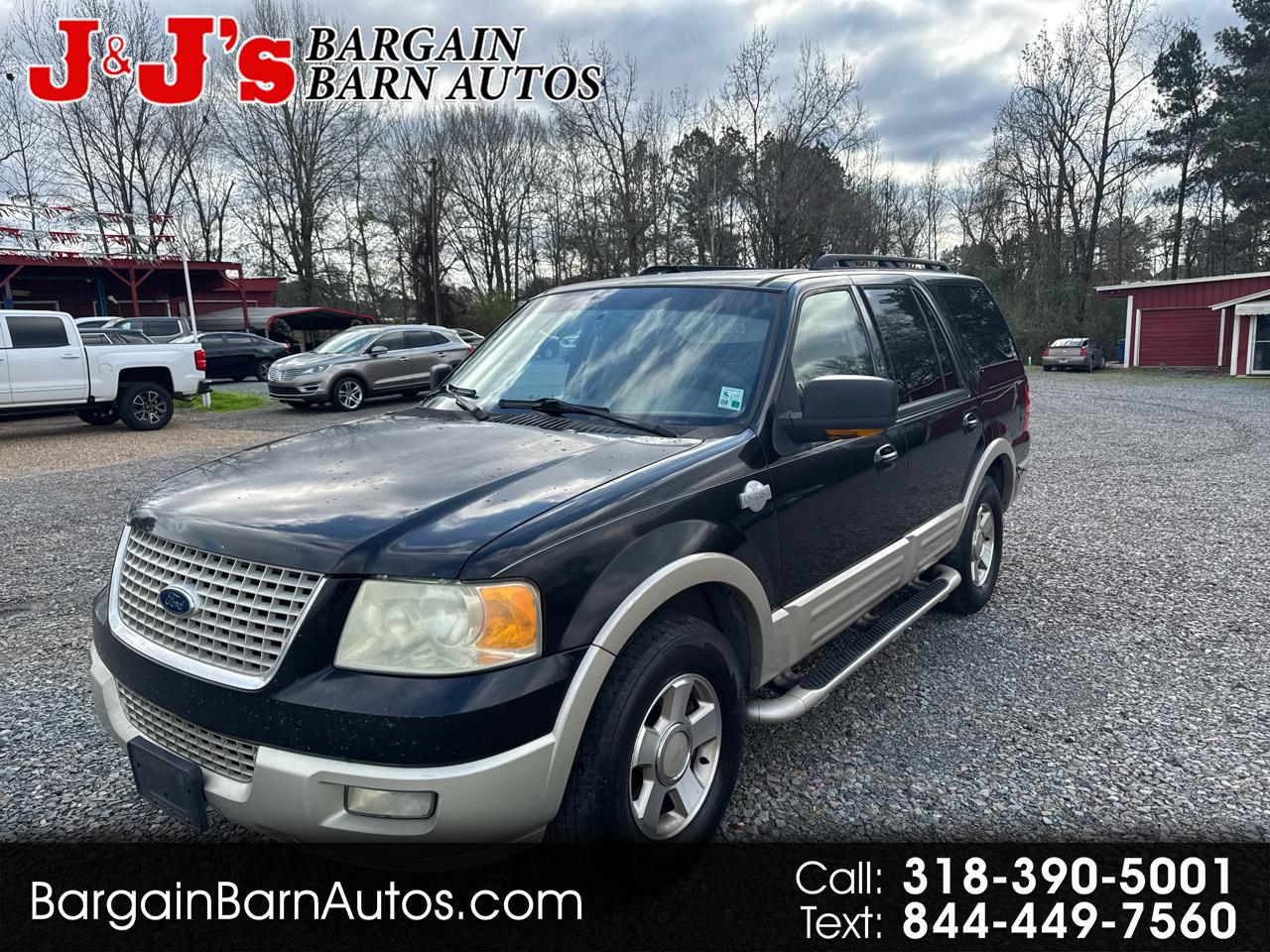 Ford Expedition Eddie Bauer 2WD 2005
