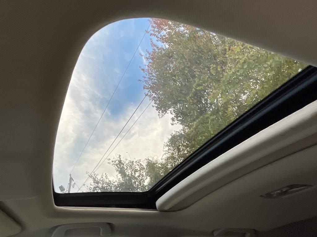 View 14
