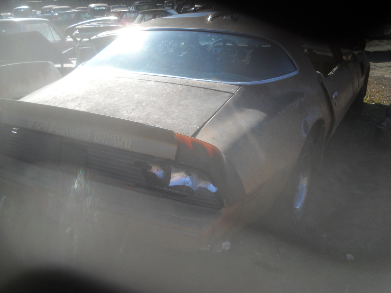 Pontiac Trans Am  1980