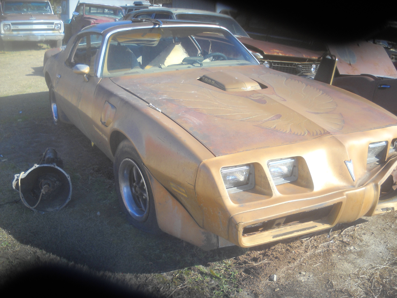 Pontiac Trans Am  1980