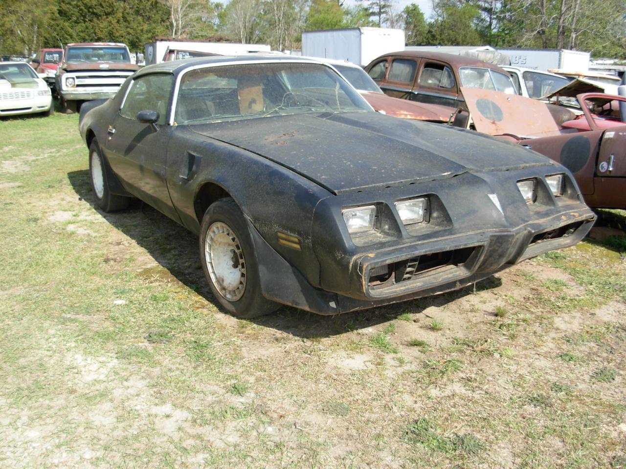 Pontiac Firebird Trans Am  1980