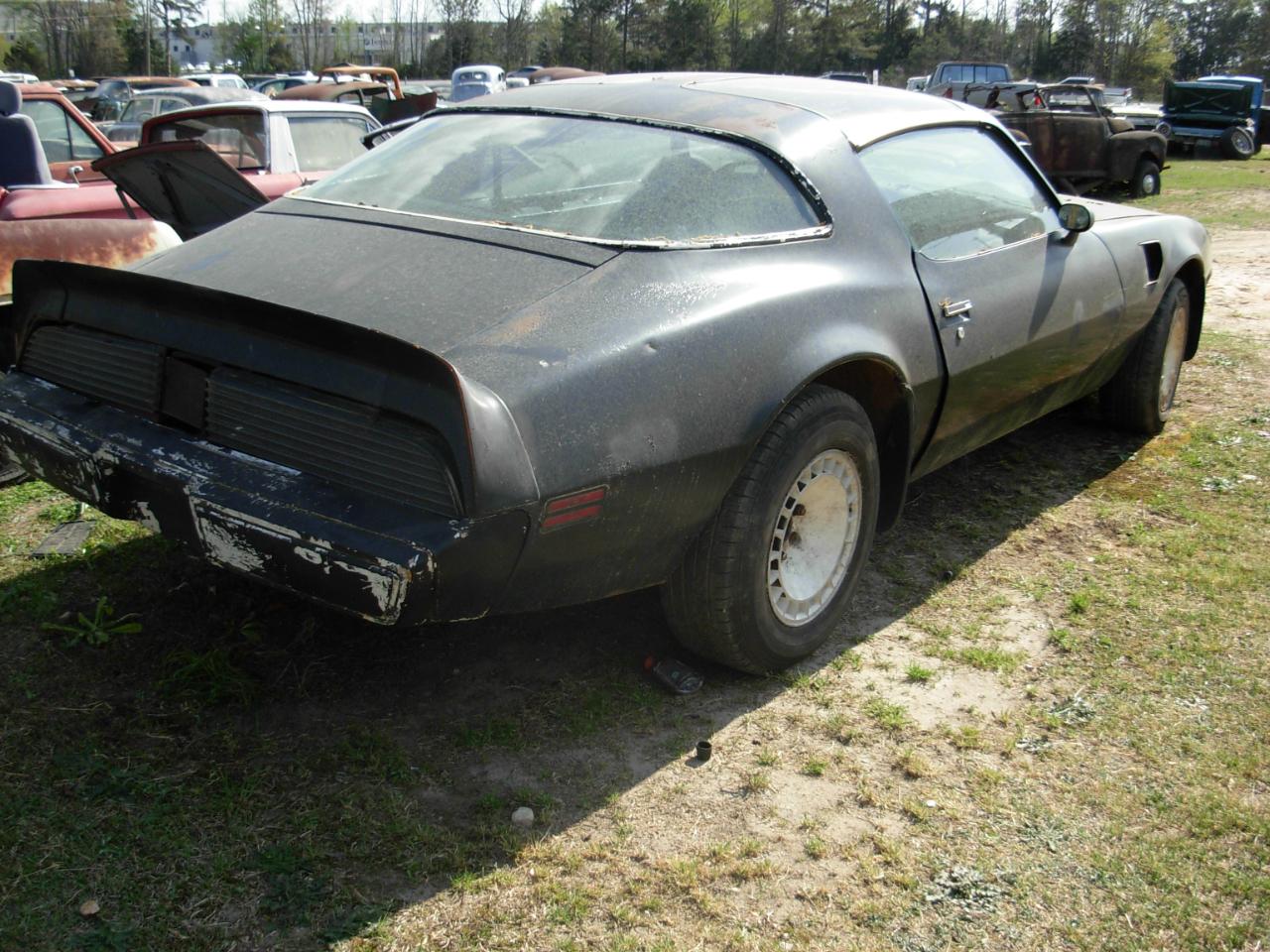 Pontiac Firebird Trans Am  1980