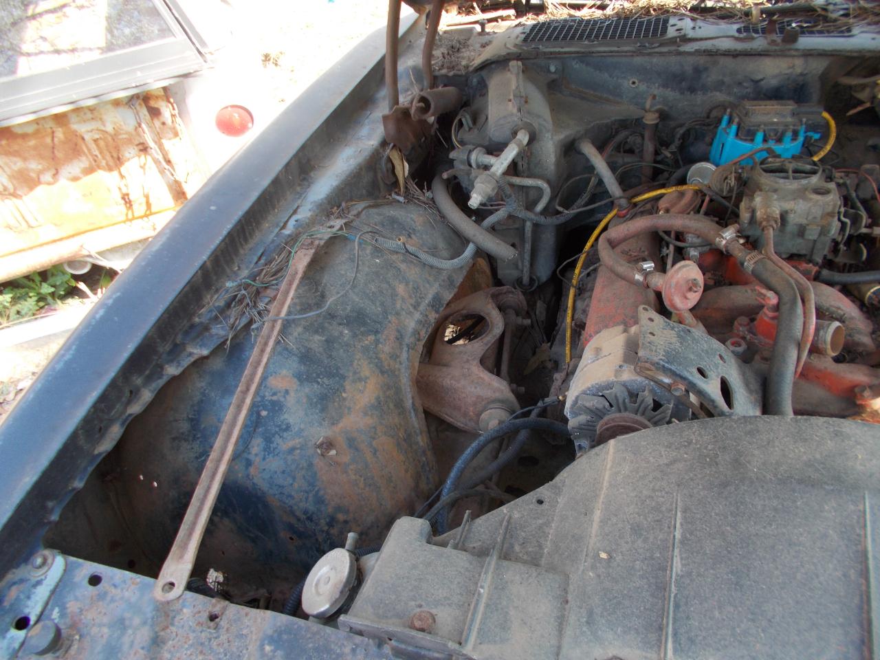 Pontiac Firebird Trans Am  1980