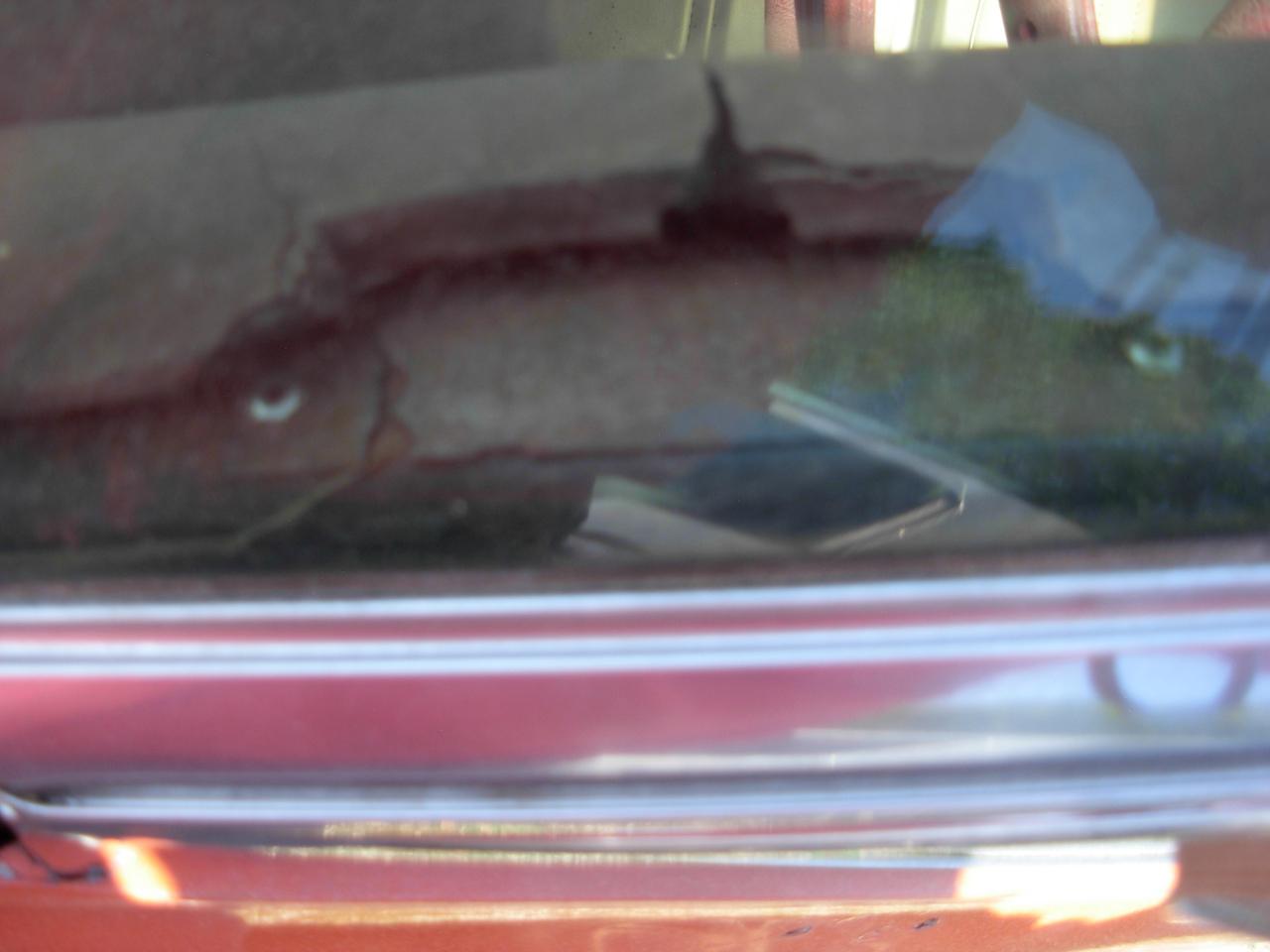 Chevrolet Corvette Sting Ray   1976