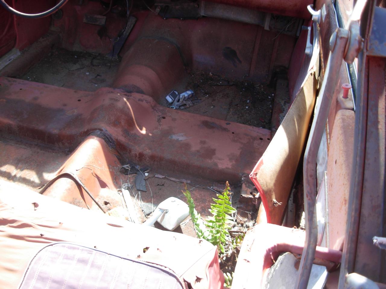 Ford Falcon  1964