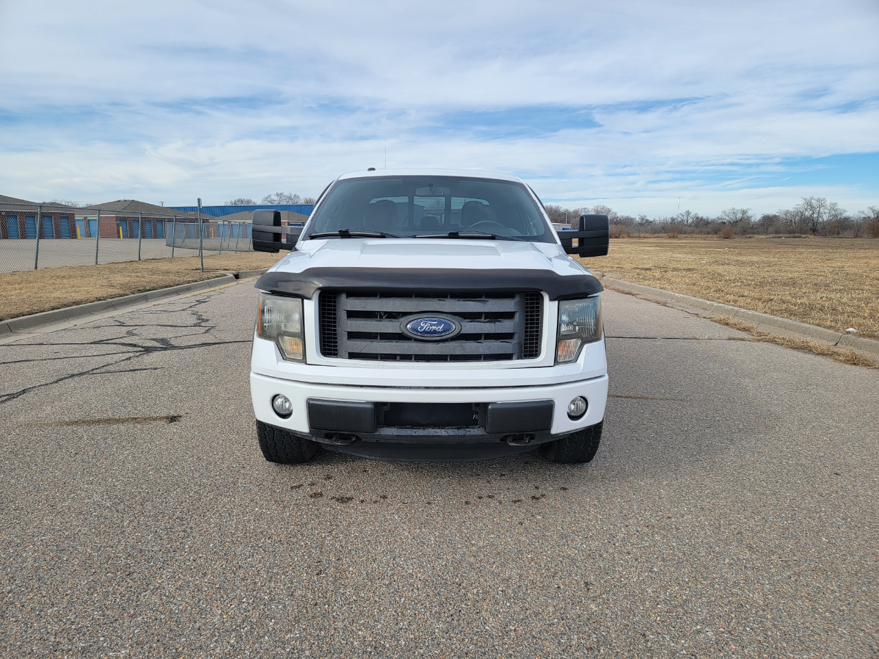 Ford F-150 4WD SuperCrew 145" Platinum 2013