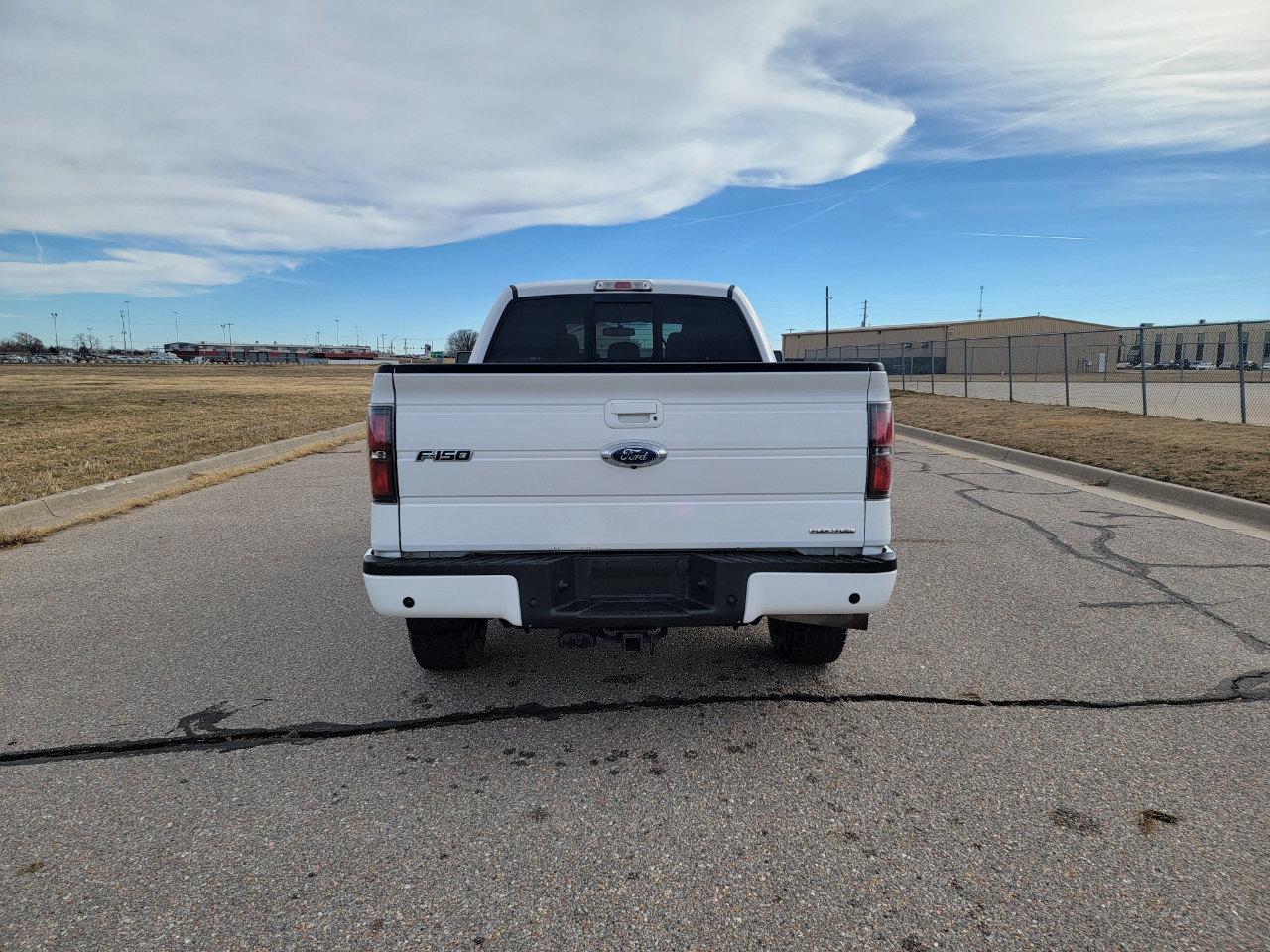 Ford F-150 4WD SuperCrew 145" Platinum 2013