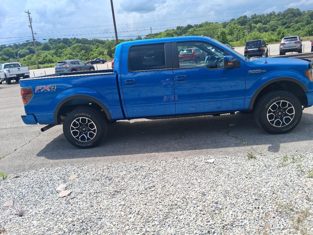 Ford F-150 4WD SuperCrew 145" Platinum 2012