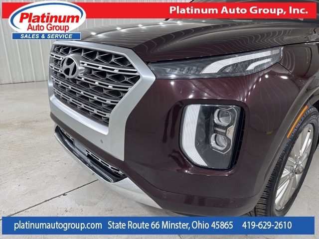 Hyundai Palisade  2020