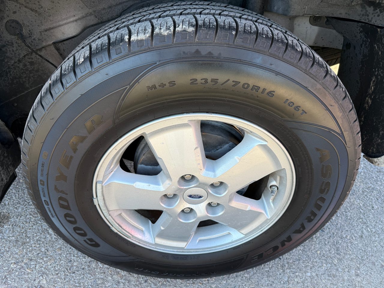 Ford Escape FWD 4dr V6 Auto XLT 2009