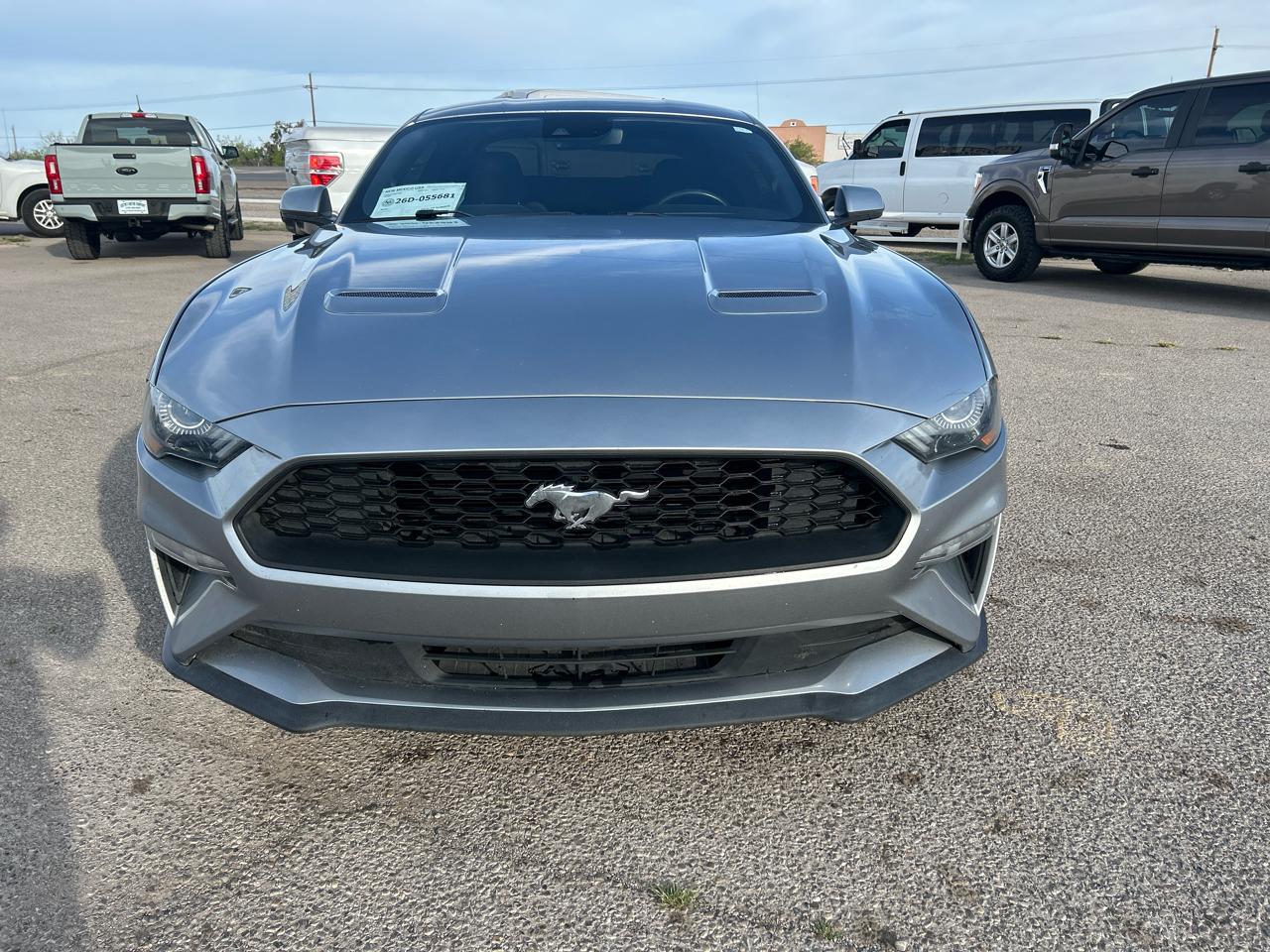 Ford Mustang EcoBoost Fastback 2021